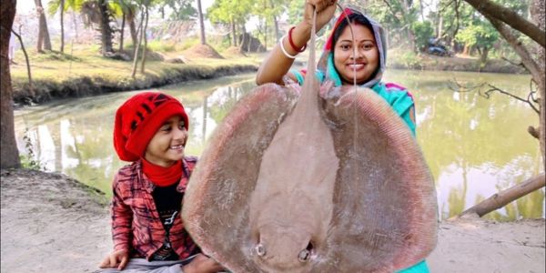 লক্ষ্মীপুরে ধরা পড়লো ৮৪ কেজি ওজনের শাপলা পাতা মাছ